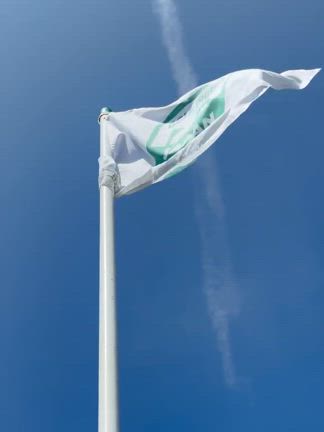 2025/08/07の記事動画