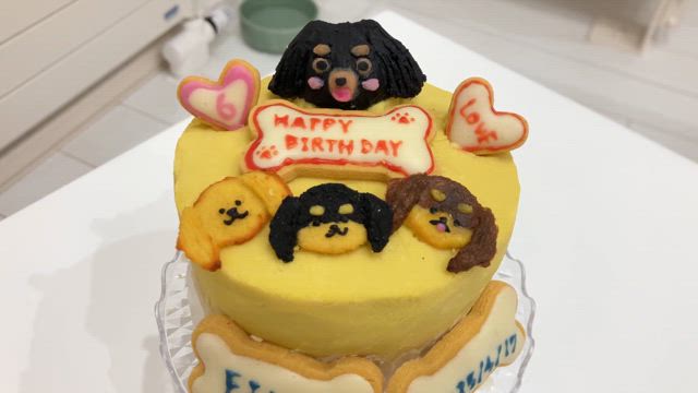 お犬様ケーキの記事動画