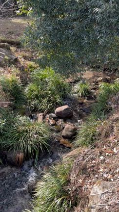 その道のプロには敵わないの記事動画