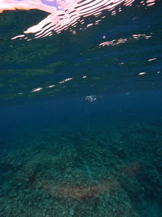 宮古島7/7〜8 ボートツアーの記事動画