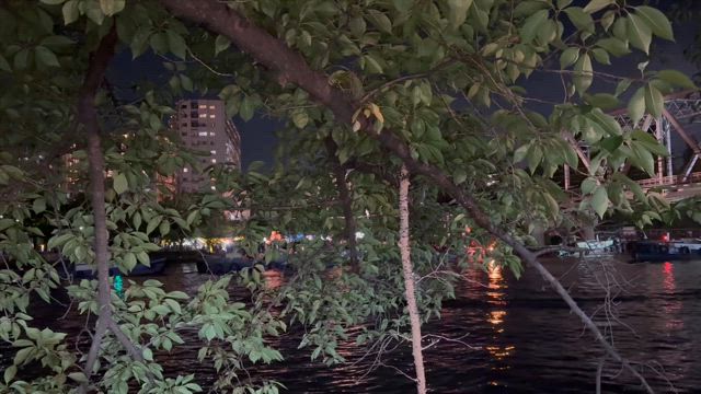 天神祭の記事動画