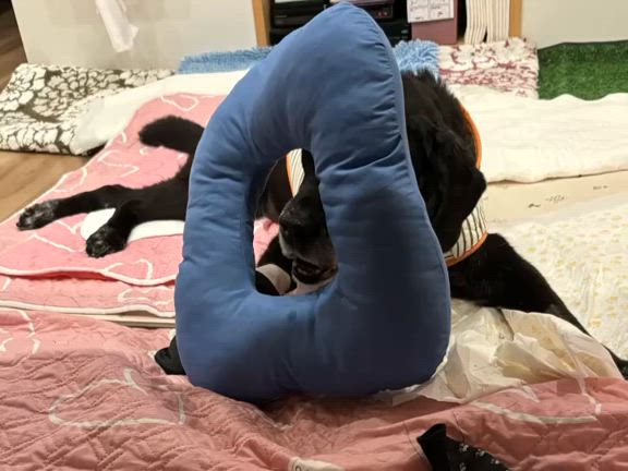 2024/10/27の記事動画