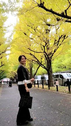 【紅葉】神宮外苑の銀杏並木の記事動画