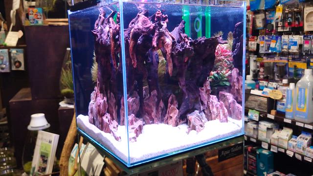 レイアウト作製&ハンドメイドマテリアル特価！の記事動画