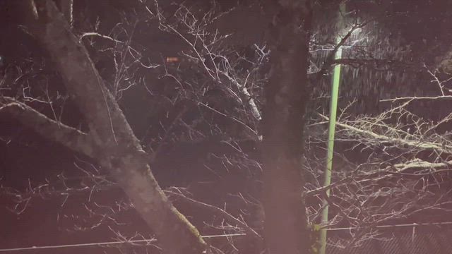 今年お初の うっすら雪景色(๑>◡<๑)の記事動画