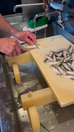 ７月１８日（木）☆太陽もBOSSも本気です！ちっちゃーい新子の記事動画