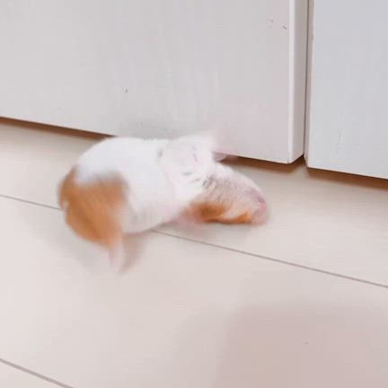 飼っているペットの可愛いイラスト、描けるようになりますの記事動画