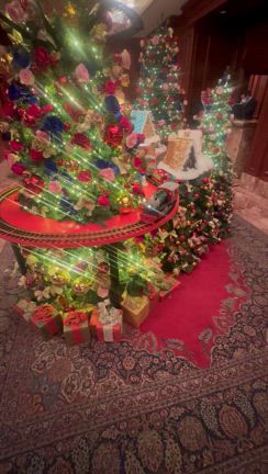 お知らせの記事動画