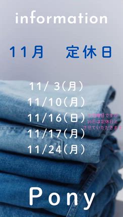 11月　定休日のお知らせの記事動画