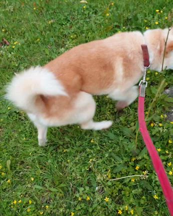 くすみ肌？の記事動画