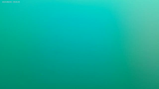 生存確認の記事動画