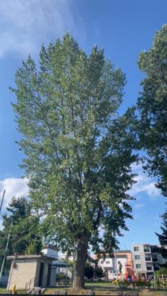 心地良いを感じられないあなたへの記事動画