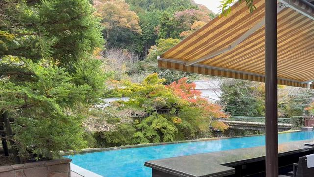 【伊豆・東府や】足湯×パン×紅葉の癒し時間。犬OK！Bakery&amp;Table 東府や 足湯カフェの記事動画