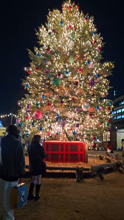 クリスマスマーケットみなとみらい✨の記事動画