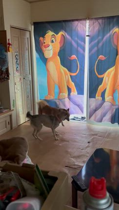 教えてもらったからの記事動画