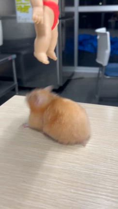 クルーインタビュー⭐︎女子ペアの記事動画