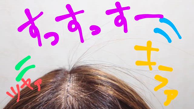新しいアイテムが入ったよ！の記事動画
