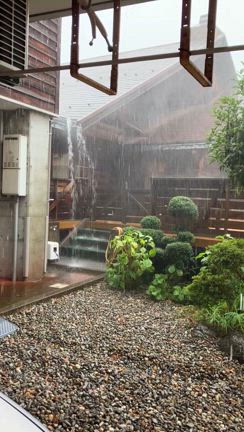 大雨やばかったーの記事動画