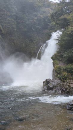 第４回　南同窓会 in 仙台　最終日の記事動画