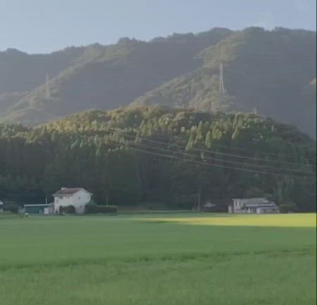 清々しい朝の記事動画