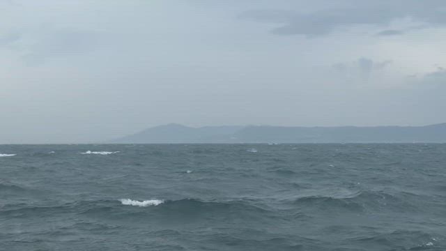 ８月１０日（日）　キス釣果の記事動画