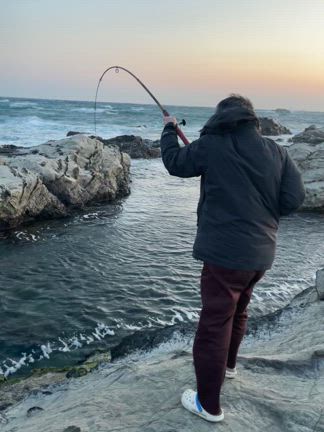 ウツボ釣り：カサゴとハマグリのパクチー煮の記事動画