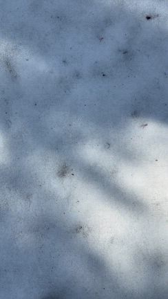 シャスタ旅行 Day2: Little Medicine Lakeの記事動画