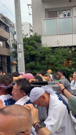 お神輿(*•̀ᴗ•́*)و ̑̑の記事動画