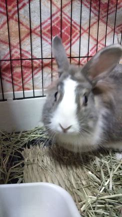 4回目の記事動画