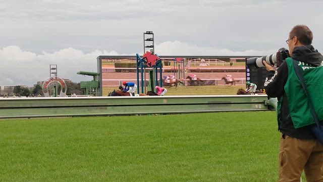 中山競馬場に行ってみた。ロイヤルファミリー展。来週は有馬記念。の記事動画