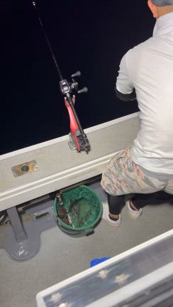 15日 半夜便‼️Seitaro‼️の記事動画