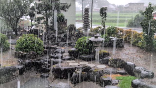 土砂降りのあとの畑の記事動画