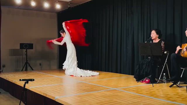 フラメンコソロコンサートが終わって【動画あり】の記事動画