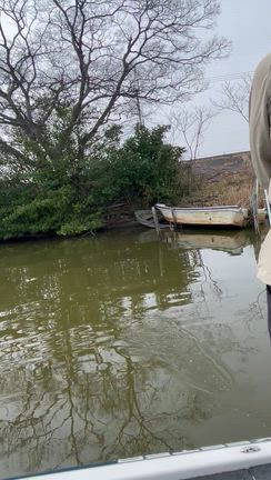 3/18 シャローバンクビートDAYも空振りにの記事動画