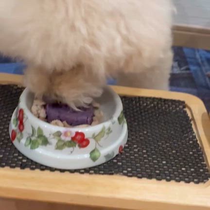 空夜14歳になったよ(* ¨̮*)/♡︎の記事動画