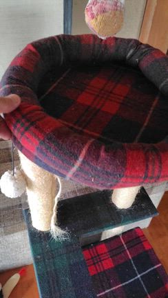 クマの散歩道  vol. 309　クマ、愛猫チョコの新しいキャットタワーを買う。の記事動画