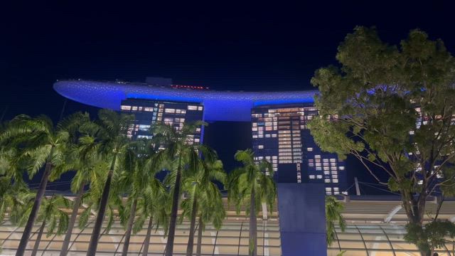 ホビが最初にした甘い事の記事動画