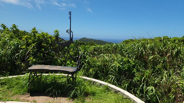 2024年7月　久しぶりにかみさんと神津島②の記事動画