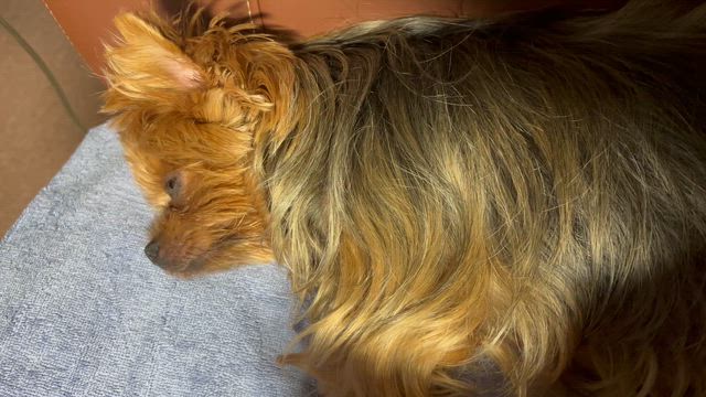 ちょい振り返り。。の記事動画