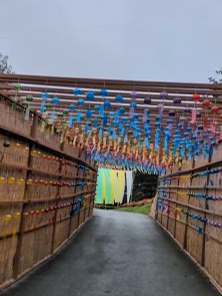 佐藤健：家族サービス？の記事動画