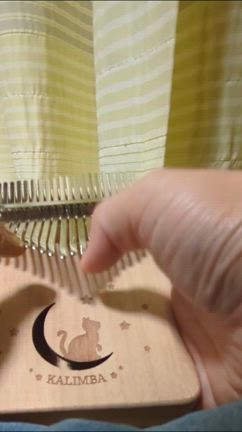 音楽好きさんにオススメ♡癒やし効果がすごすぎる！楽器♪の記事動画