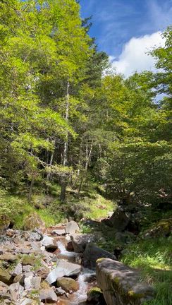 日本の景色の記事動画