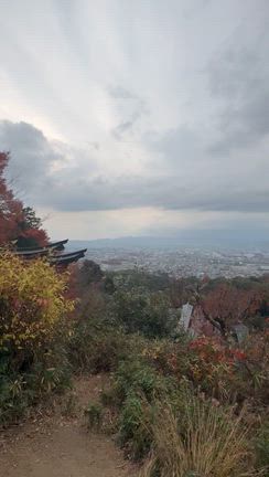 コンクール　の結果　色々の記事動画