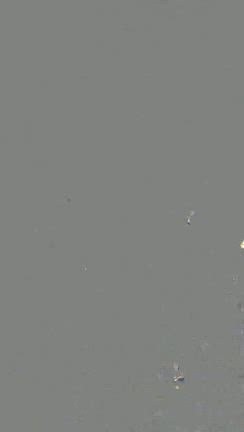 ★2025秋バージョン/100人バーベキュー★の記事動画