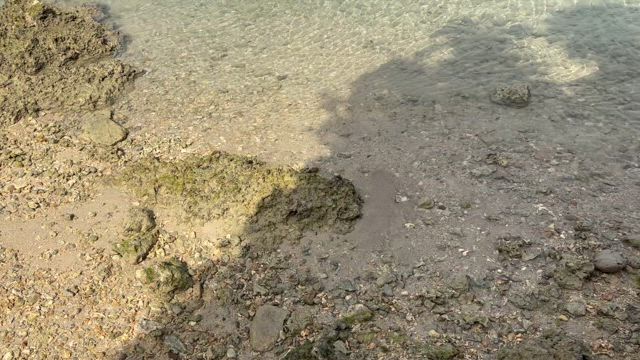 塩を求めて沖縄へ・・②の記事動画
