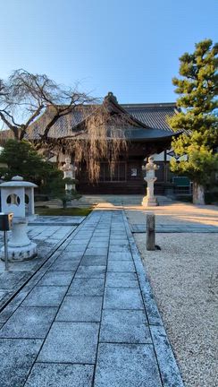「洞光寺」まで　４・２キロだけど、、、凡そ１時間半は優に歩きました！！の記事動画