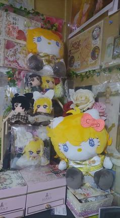 アメブロ読者様２名様から昨夜、プレゼント頂きました♡の記事動画