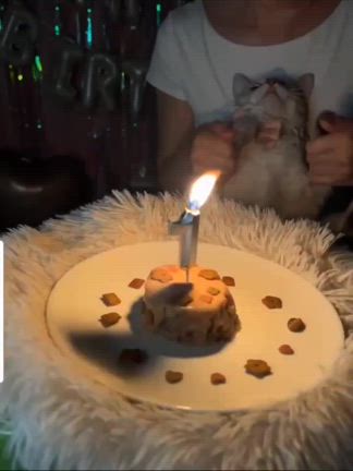 三女が1歳になりました。の記事動画