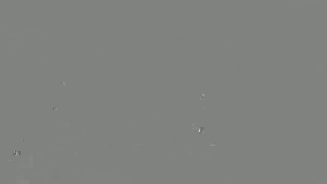 母親が撮ってくれた僕とえれちゃんの滑り！の記事動画