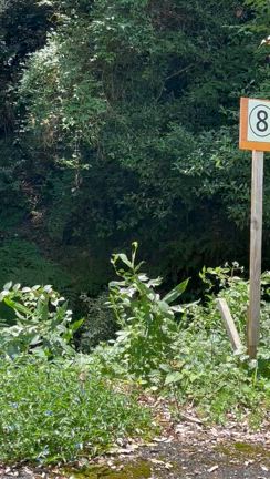 神様に呼ばれないと行けない玉置神社の記事動画